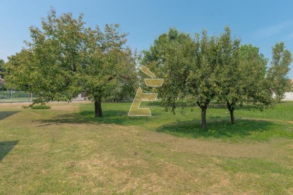 Vendita casa indipendente di 380 m2, Bassignana (AL) - 39