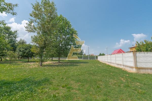 Vendita casa indipendente di 380 m2, Bassignana (AL) - 40