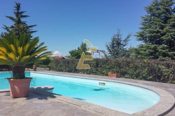 Vendita intero stabile di 1700 m2, Bassignana (AL) - 18