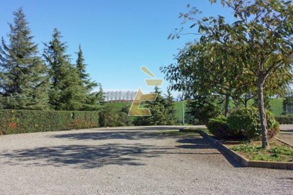 Vendita intero stabile di 1700 m2, Bassignana (AL) - 25