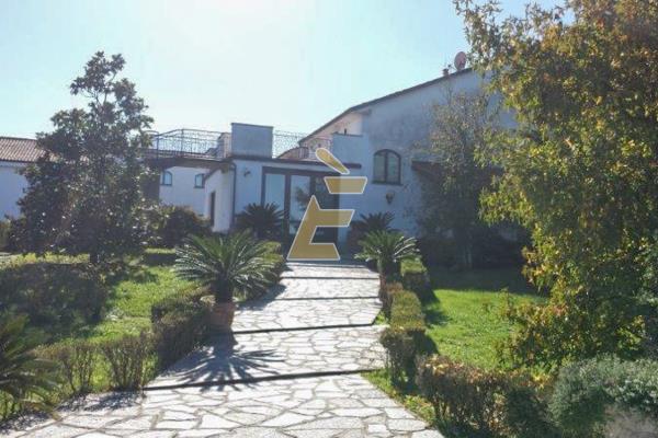 Vendita intero stabile di 1700 m2, Bassignana (AL) - 26