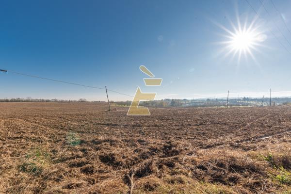 Vendita rustico di 246 m2, Valenza (AL) - 11