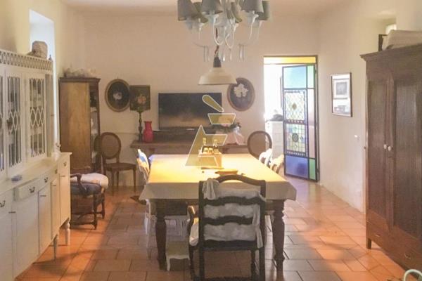 Vendita casa bi/plurifamigliare di 504 m2, Valenza (AL) - 3